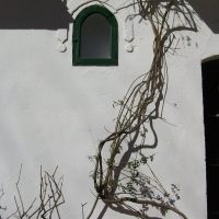 Muro