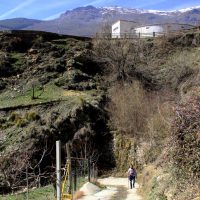 4.La primavera no prefiere jardin – Miao He