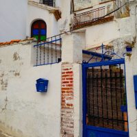 99 líneas rectas y un arco –  Caroline Suttlehan
