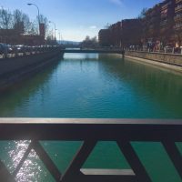 A Walk Home Like Never Before – Angela Fragale