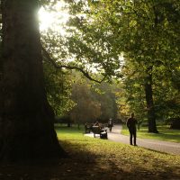 A glance at St.James Park, London, England – Shelby Killen
