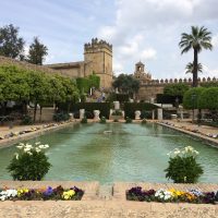 Alcázar de Córdoba – Morgan McGoey