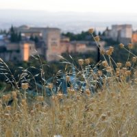 Alhambra a la puesta del sol2 – Erika Palmieri