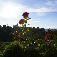 Alhambra desde el Generalife – Katja Cardol