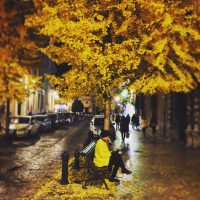 Autumn Color – Xin Ai (Eslovaquia)