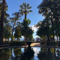 Reflejos de verano que enamoran en invierno