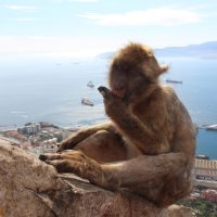 Besos de Gibraltar – Barbara Courtens (Bélgica)
