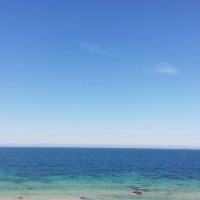 Blue – Pedro Manuel Ruiz de Castroviejo Teba