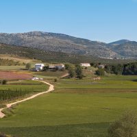 CAMPO ANDALUZ – Luis Xavier Blanco Medina (España)