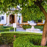 CLM-Jardin – Manuel Martínez Garcia