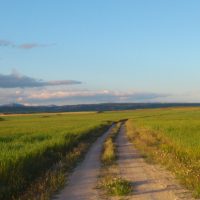 Caminante no hay camino – Jose Manuel Sánchez