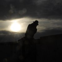 Chaval – Dylan Demouy