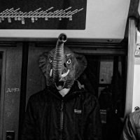 Ciudadano elefante – Dylan Demouy