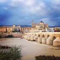 Córdoba – Jenna Wright (EEUU)