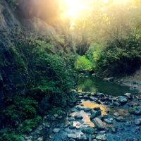 Corriendo sin un destino – Christina Rullo (EEUU)
