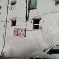 DIA 20 – Ana Streng