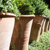 Detalles de la Alhambra – Suzanne Luff (EEUU)