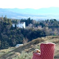 Disfruta del tiempo – Hannah Rady