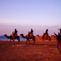 El Calor de Marruecos – Liliana Peralta Zapata