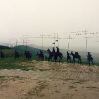 El Camino de Santiago – Leigha McCarroll