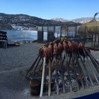 El Deleite Costero – Morgan McGoey