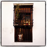 El Perrito en Granada – Brittany Burr