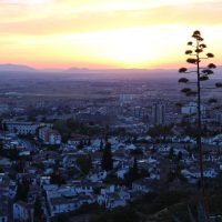 El Rey de Granada – Amos Bok (Bélgica)