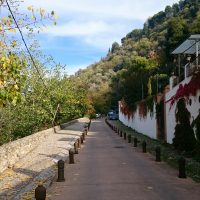 El camino del Otoño – Mostafa Hashemi (Irán)