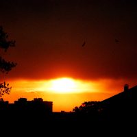 El incendio en el cielo – Solomiia Myroniuk