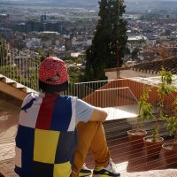 El mirador – Ricardo Chavez
