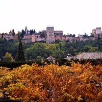 El otoño bajo la Alhambra – Rocío Fornieles Ruiz (España)