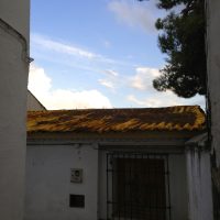 El techo de oro –  Caroline Suttlehan