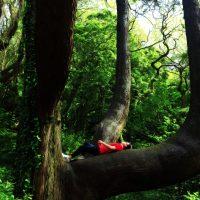 Embrace the nature – Uldi Bairam