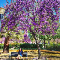 Finding your Spring – Uldi Bairam