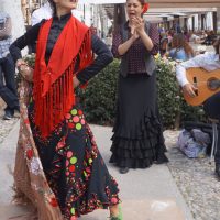 Flamenco – Sara Mallucci