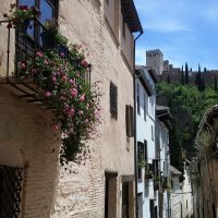Flores en el Albaicín – Mª del Mar Ortiz Martínez