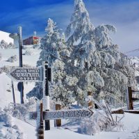 Foto 4. Snowy day – Weronika Kminikowska