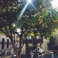 Granada soleada –  Renata Dautova
