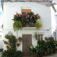 Hogar dulce hogar – Emily Elias
