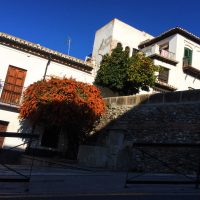 Houses on the hill – Gloria Bibbo