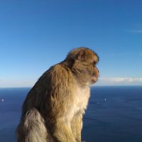 IMAG0773 – Massi Modica