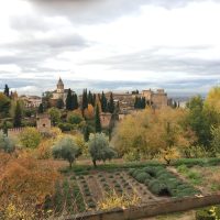 IMG_5511 – Mahmud Karimi