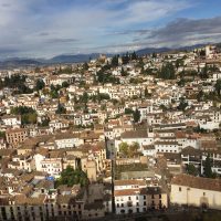 IMG_5555 – Mahmud Karimi
