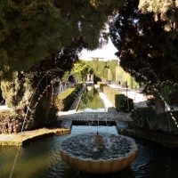 Sin título – Altaf Bootia (Marruecos)