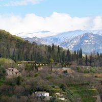 Ionel Maria Stefania – Mirador