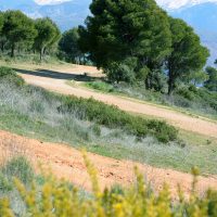 Ionel Maria Stefania – The long way to Sierra Nevada