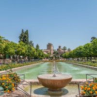 Jardin en Cordoba – Kush Patel