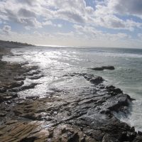 La Esperanza del Mar – Ariana Hazery (EEUU)