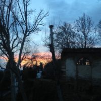 La Mezcla – Francesca Ganna