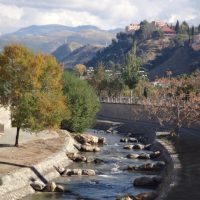 La Naturaleza Viviente en Granada – Patricia Ann McCaffrey